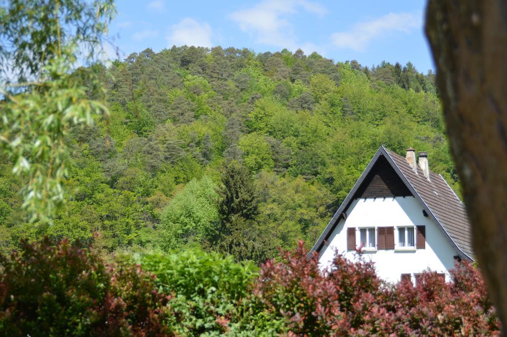 Le Gite De L'Ecureuil Sturzelbronn Buitenkant foto