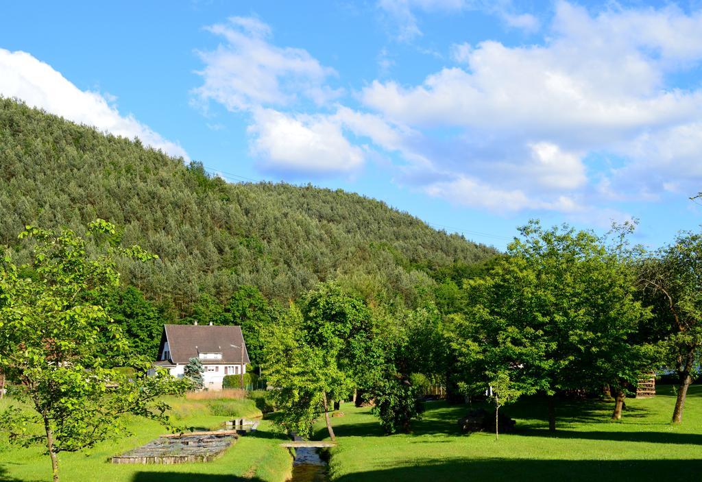 Le Gite De L'Ecureuil Sturzelbronn Buitenkant foto