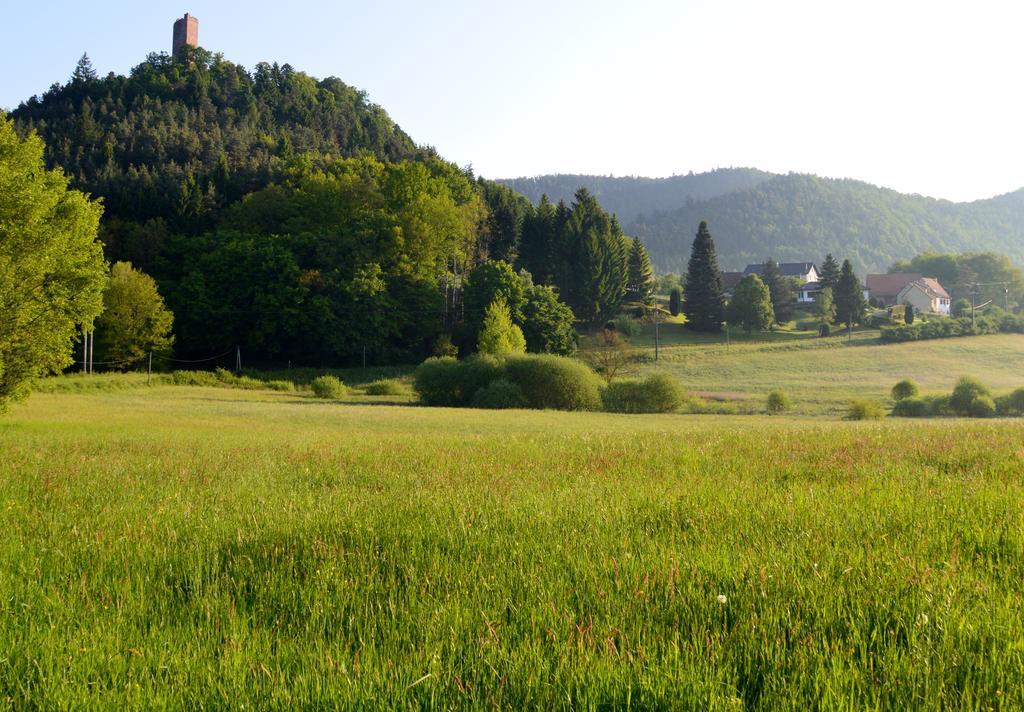 Le Gite De L'Ecureuil Sturzelbronn Buitenkant foto
