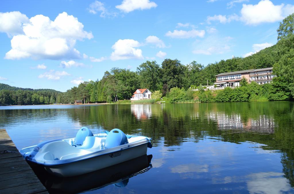 Le Gite De L'Ecureuil Sturzelbronn Buitenkant foto