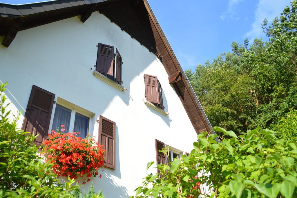 Le Gite De L'Ecureuil Sturzelbronn Buitenkant foto