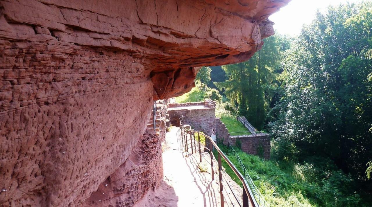 Le Gite De L'Ecureuil Sturzelbronn Buitenkant foto